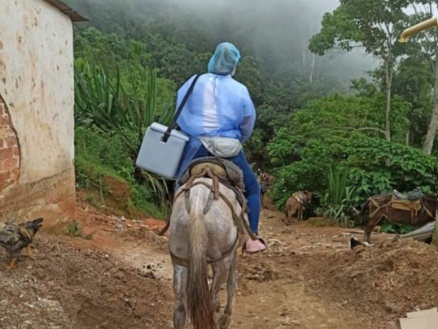 Así va la misión de vacunar al campo en Colombia