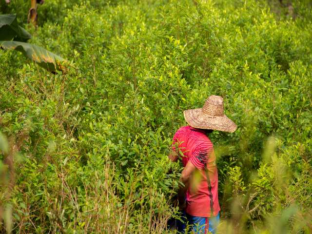 En Tumaco, la guerra contra las drogas de Duque termina con saldo en rojo