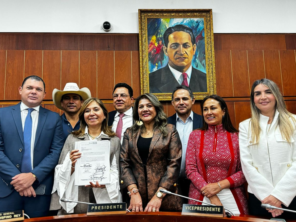 Estos son los ocho senadores que dejaron la reforma a la salud en jaque.
