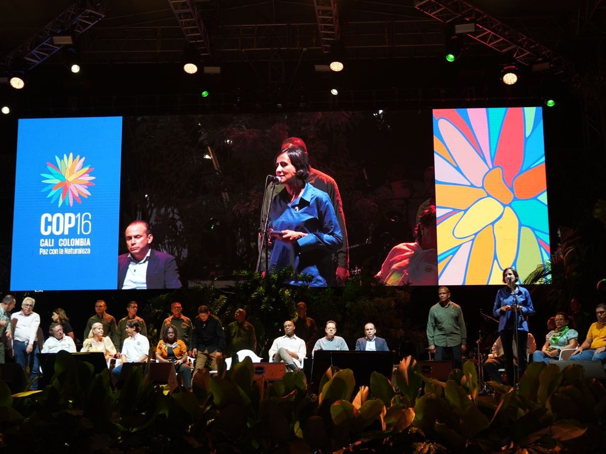 Cali copada y diversa: así pinta la COP16 en su arranque