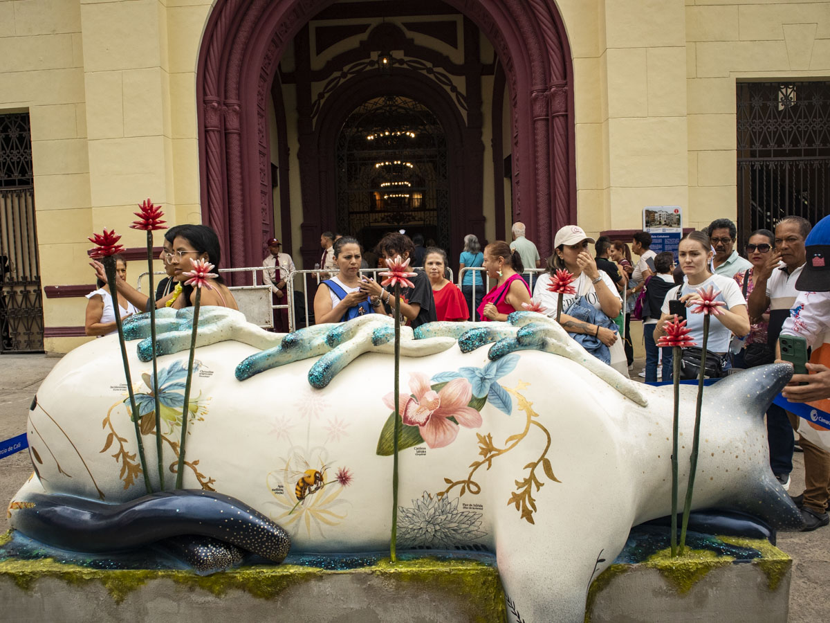 Éxito tropical: la COP dejó orgullo en Cali y mostró la diversidad de Colombia