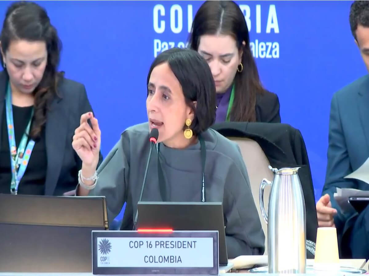 Susana Muhamad en la COP16 en Roma